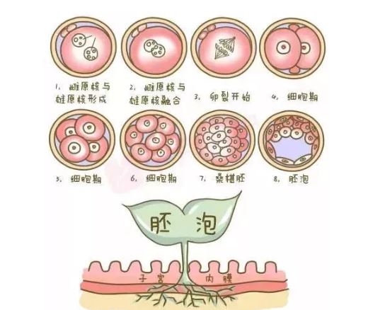 生化妊娠和流产是一回事吗 孕早期生化妊娠了怎么办