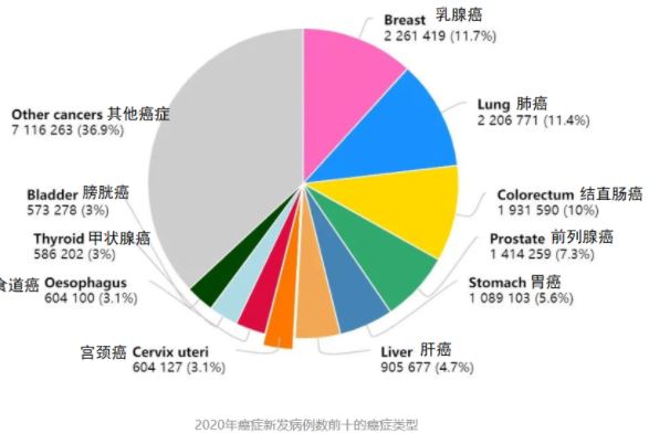 年轻人是否有外貌焦虑 外貌焦虑的正确对待方式