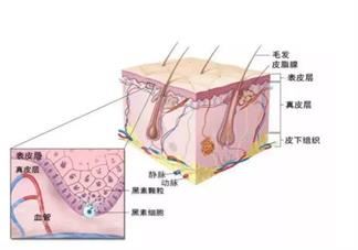 睡前喝水眼睛会肿吗 早上消眼肿的方法有哪些2024