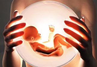 胚胎移植后需要注意哪些事情 胚胎移植注意事项