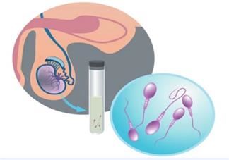 新冠肺炎男患者应检查生育力是怎么回事 新冠肺炎会对男性生育能力有影响吗