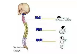 怎么知道宝宝脊柱是否健康 宝宝脊柱健康自查方法