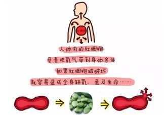 千万不要带孩子游野泳 孩子游野泳隐患多