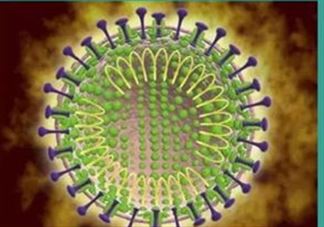 新型冠状病毒是怎么传染的 如何预防新型冠状病毒的感染