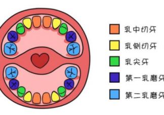宝宝长牙吃什么食物好   宝宝长牙食物推荐