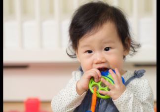 春季吃韭菜好时节春季吃韭菜会流产吗 孕期孕妇可以吃韭菜吗