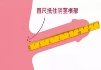 孩子身高怎么测量最准确 测量孩子身高应注意的问题