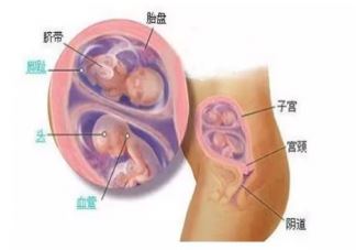 孕36周胎动频繁有力正常吗  为什么孕36周胎动频繁有力