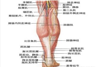 激光脱毛是永久的吗 什么人最适合做激光脱毛