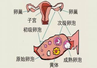 2024世界肾脏日主题是什么 护肾可以怎么做