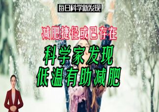 减肥碰到生理期怎么办 生理期真的是减肥的最佳时期吗