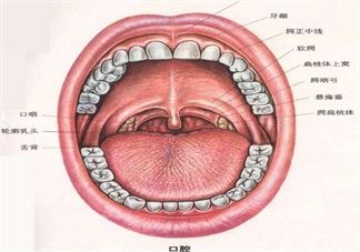 孩子吃汤圆突然噎到了怎么办 孩子吃汤圆噎到后急救方法