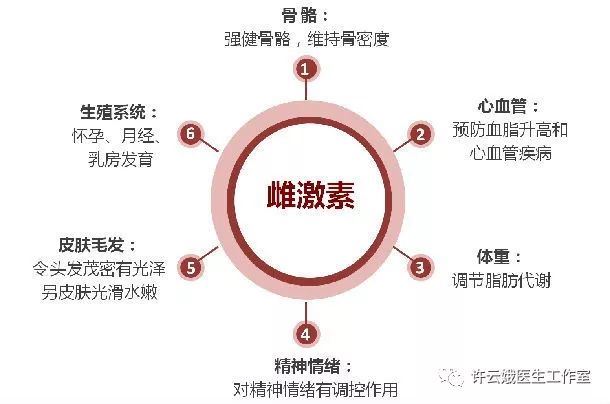 雌激素是什么 雌激素的作用有哪些