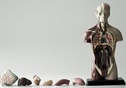 肠炎肚子疼怎么办？肠炎肚子疼怎么缓解？