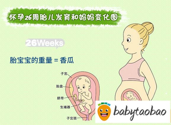 【怀孕二十六周】怀孕26周胎儿图_孕妇饮食注意事项