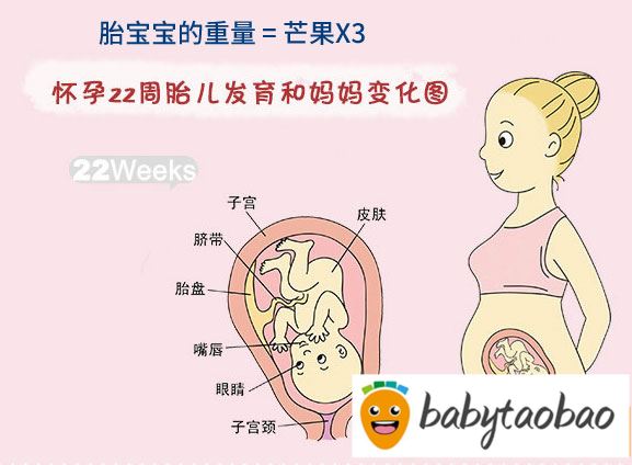 【怀孕二十二周】怀孕22周胎儿图_孕妇饮食注意事项