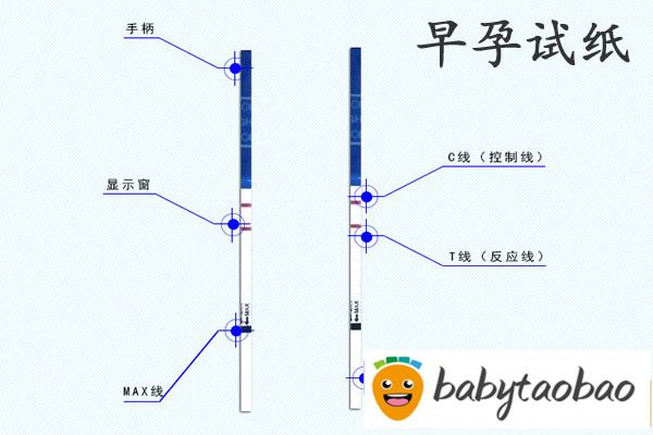 早孕试纸灵敏度排名，六个品牌的早孕试纸快收藏备用