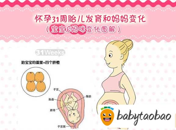 【怀孕三十一周】怀孕31周胎儿图_孕妇饮食注意事项