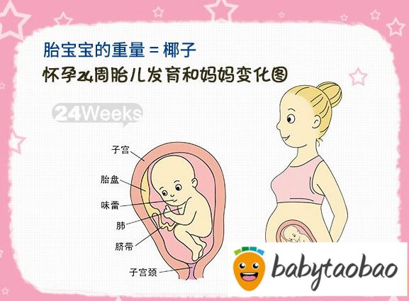 【怀孕二十四周】怀孕24周胎儿图_孕妇饮食注意事项