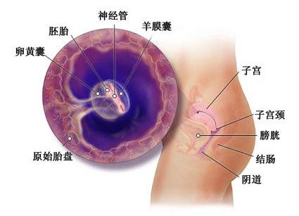 生孩子会变老吗 为什么生完孩子会变老