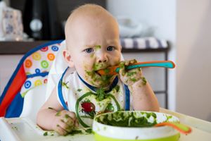 如何安全地给婴儿添加辅食?何时可以逐渐开始喂食食物?