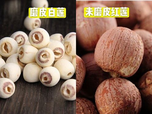 莲子怎么吃（莲子的营养价值及多种食用方法介绍）