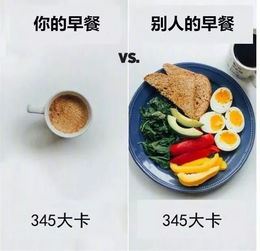 减肥之道：炒菜的秘密揭示