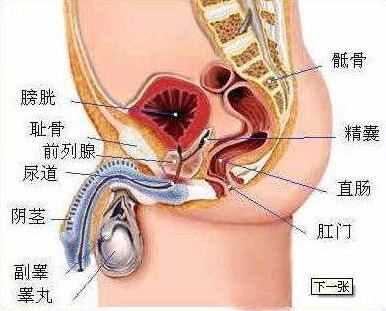 如何缓解睾丸胀痛的不适感