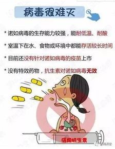 病毒感染的症状有哪些？如何预防病毒感染？