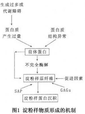 淀粉样变的原理和实验方法是什么？