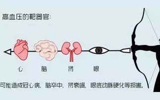 如何有效控制高血压,高血压患者应该怎么保健