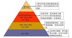 乙型肝炎表面抗原阳性（患者应该如何正确认识和处理）