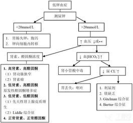 低钾血症的临床表现及治疗方法