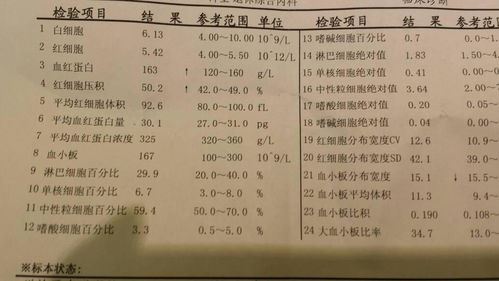 化验血常规需要注意哪些指标？