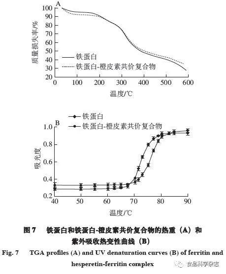 铁蛋白是什么？详细解析铁蛋白的作用和功效