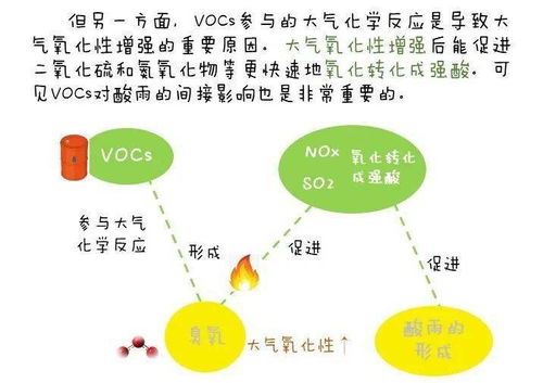 如何降低球蛋白含量，保持健康水平？