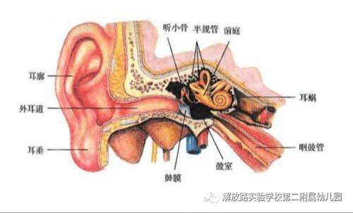 双侧乳突炎的症状和治疗方法是什么？