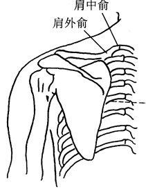 食管贲门失弛缓症的症状和治疗方法是什么？