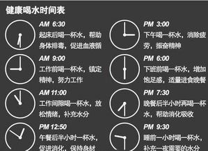 八杯水减肥法：科学时间表助你轻松瘦身