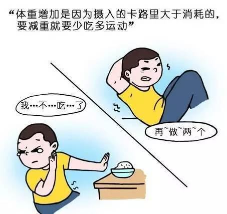 少吃饭能否有效减肥？