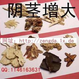 一味中药阴茎增大秘方（揭秘中药增强男性阳具的偏方）