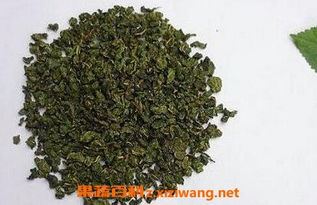 桑叶茶的功效与作用,如何制作美味的桑叶茶