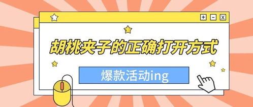 胡桃夹的使用技巧及注意事项,胡桃夹的品牌推荐和购买指南