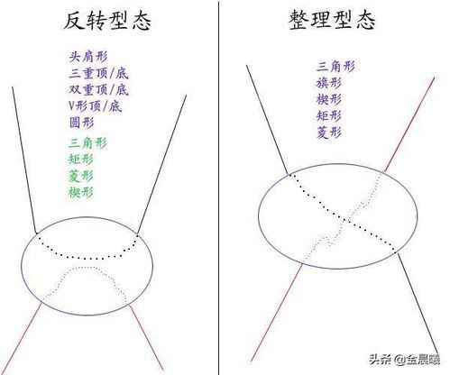 菜花状的形态特征及图解分析