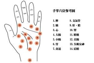 人体手部穴位有哪些