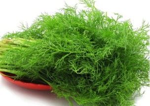 茴香孕妇可以吃吗？（科普孕妇饮食中的茴香使用）