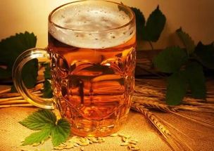喝啤酒可以减肥吗？揭秘啤酒与减肥的关系