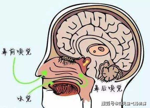 器质性病变的症状及治疗方法，预防器质性病变的注意事项