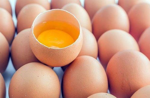 只吃鸡蛋能不能有效减肥？