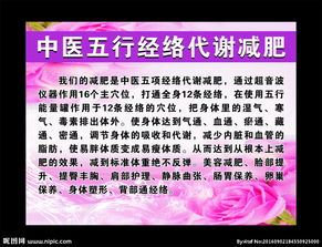 经络减肥：激活身体内部的瘦身机制